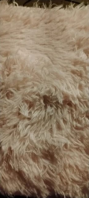 Customer photo review of SoftStep Minimalist Rug