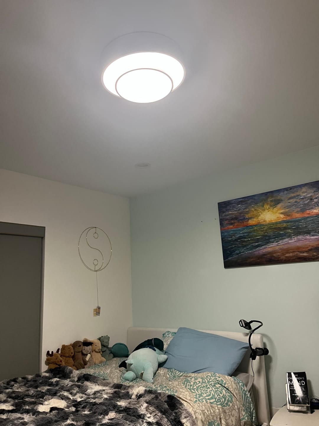 Customer photo review of Nordic White Layered Drum LED Flush Mount Ceiling Light