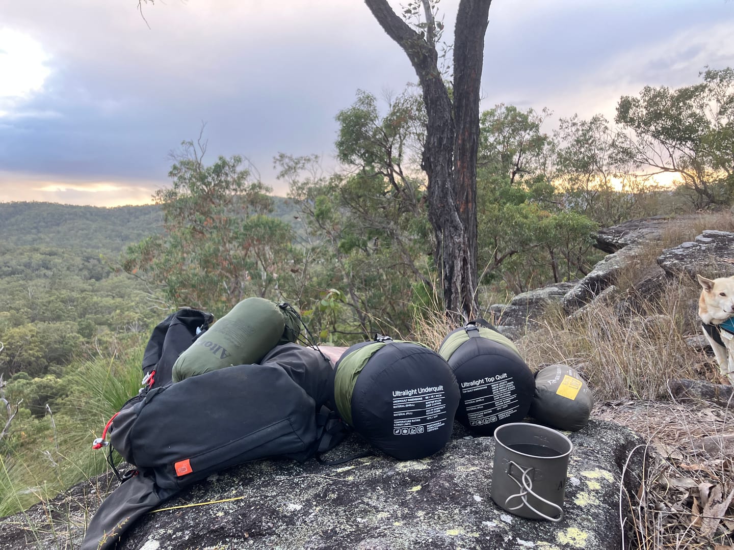 Customer photo review of Insulated Hammock Set