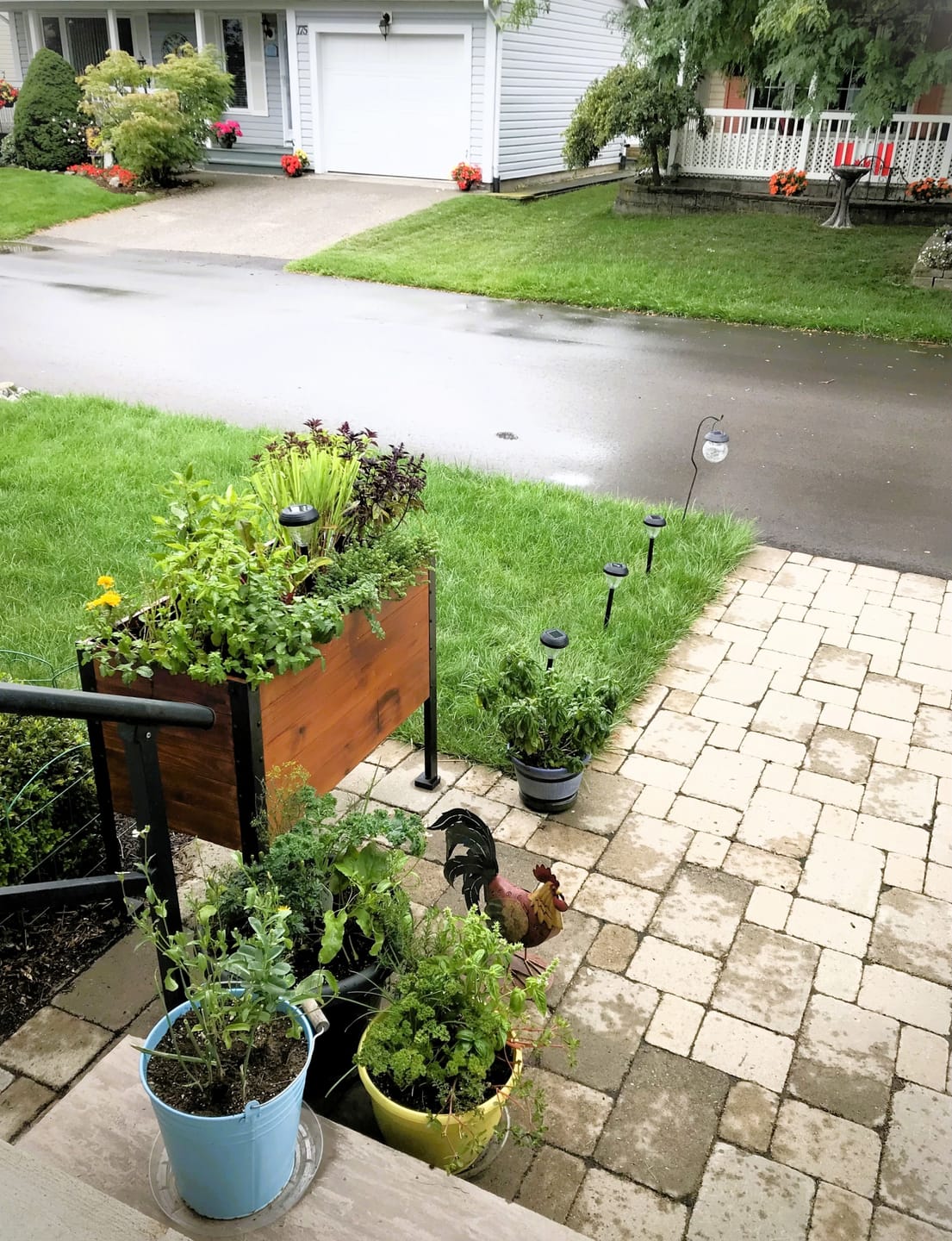 Customer photo review of 18" x 36" Raised Garden Bed - 30" TALL / Select Grade