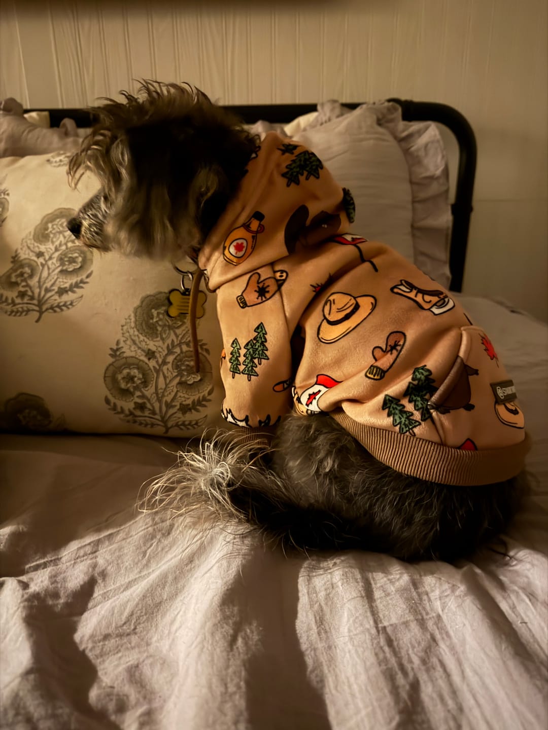 Customer photo review of The Canada Dog Hoodie