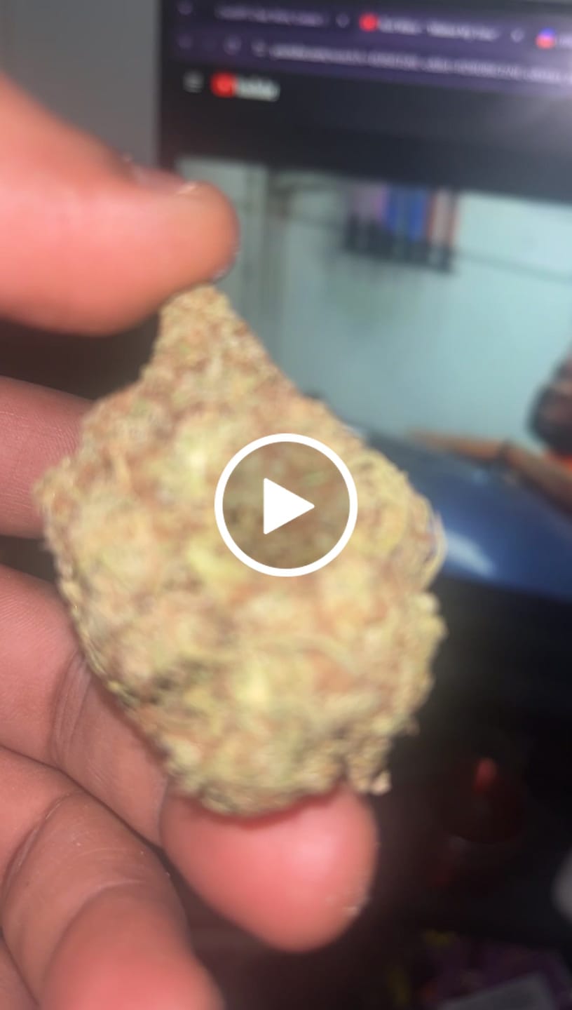 Customer video review of Candy Gas THCA Flower