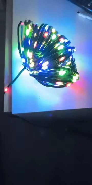 Customer photo review of LumiFest | LED Lichterkette Außen