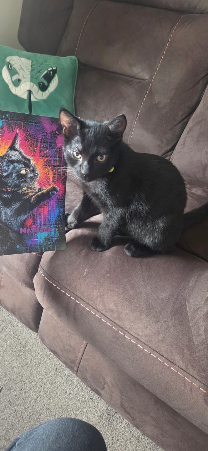 Customer photo review of Splash - Personalised Poster