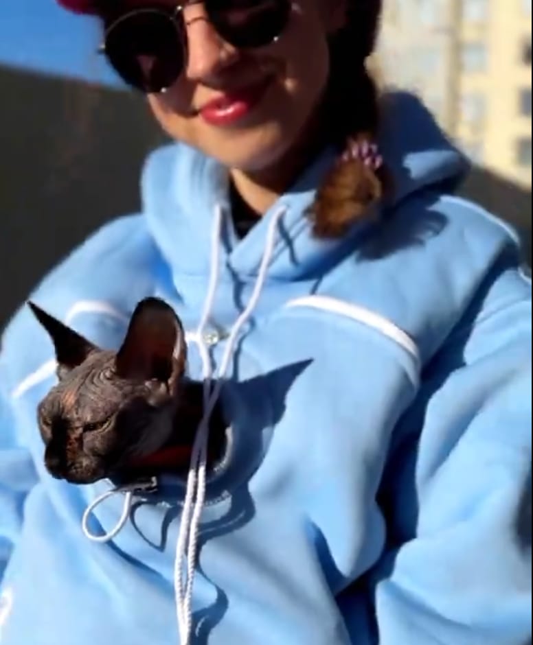 Customer photo review of Pet Peekaboo Pocket Hoodie