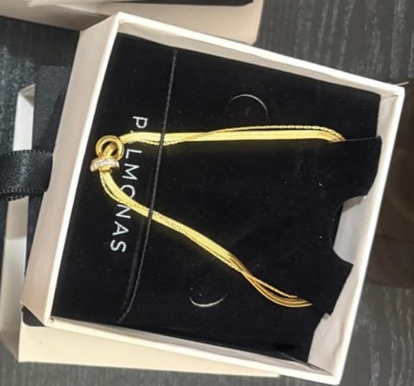 Customer photo review of Gilded Rings Layered Necklace