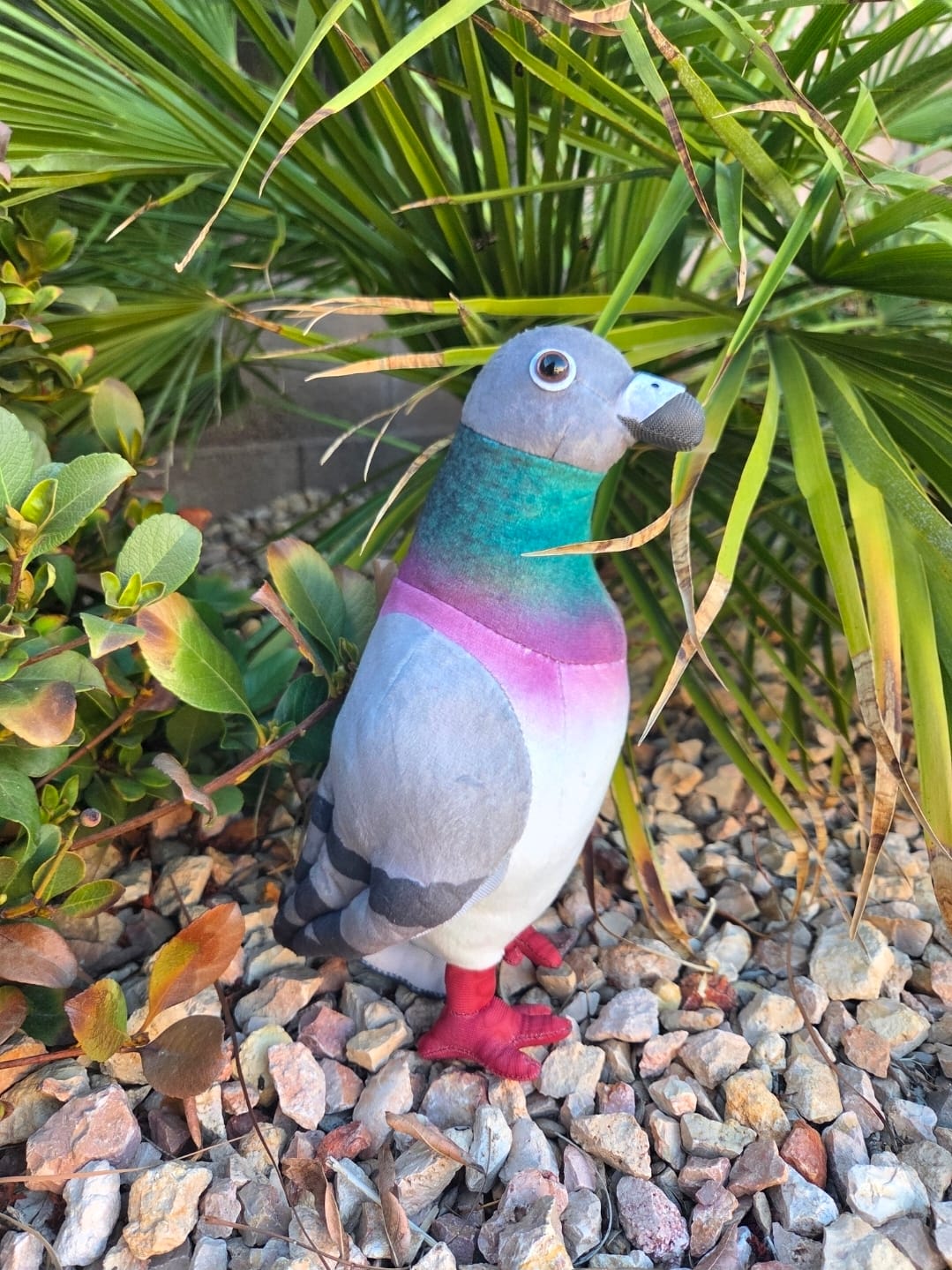 Customer photo review of Common Pigeon Bird Soft Stuffed Plush Toy