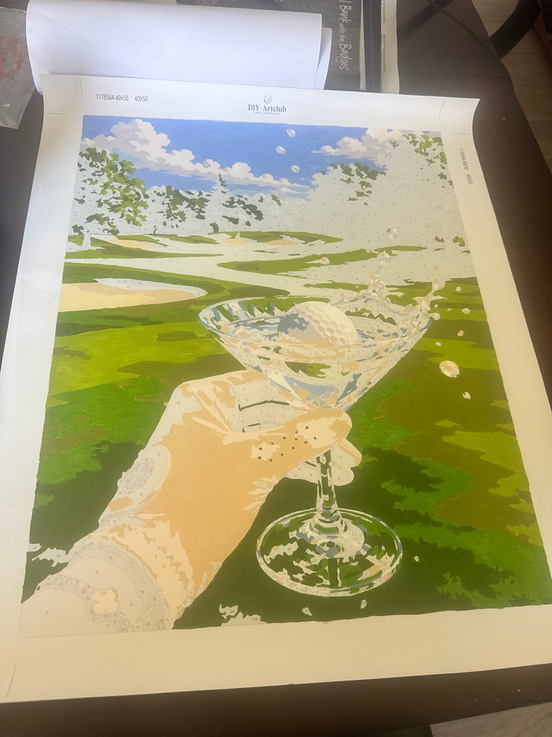 Customer photo review of Golf & Martini | Paint by Number