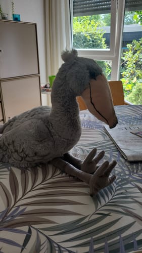 Customer photo review of Shoebill Stork Plush – Soft, Realistic Stuffed Bird Toy for Nature Enthusiasts