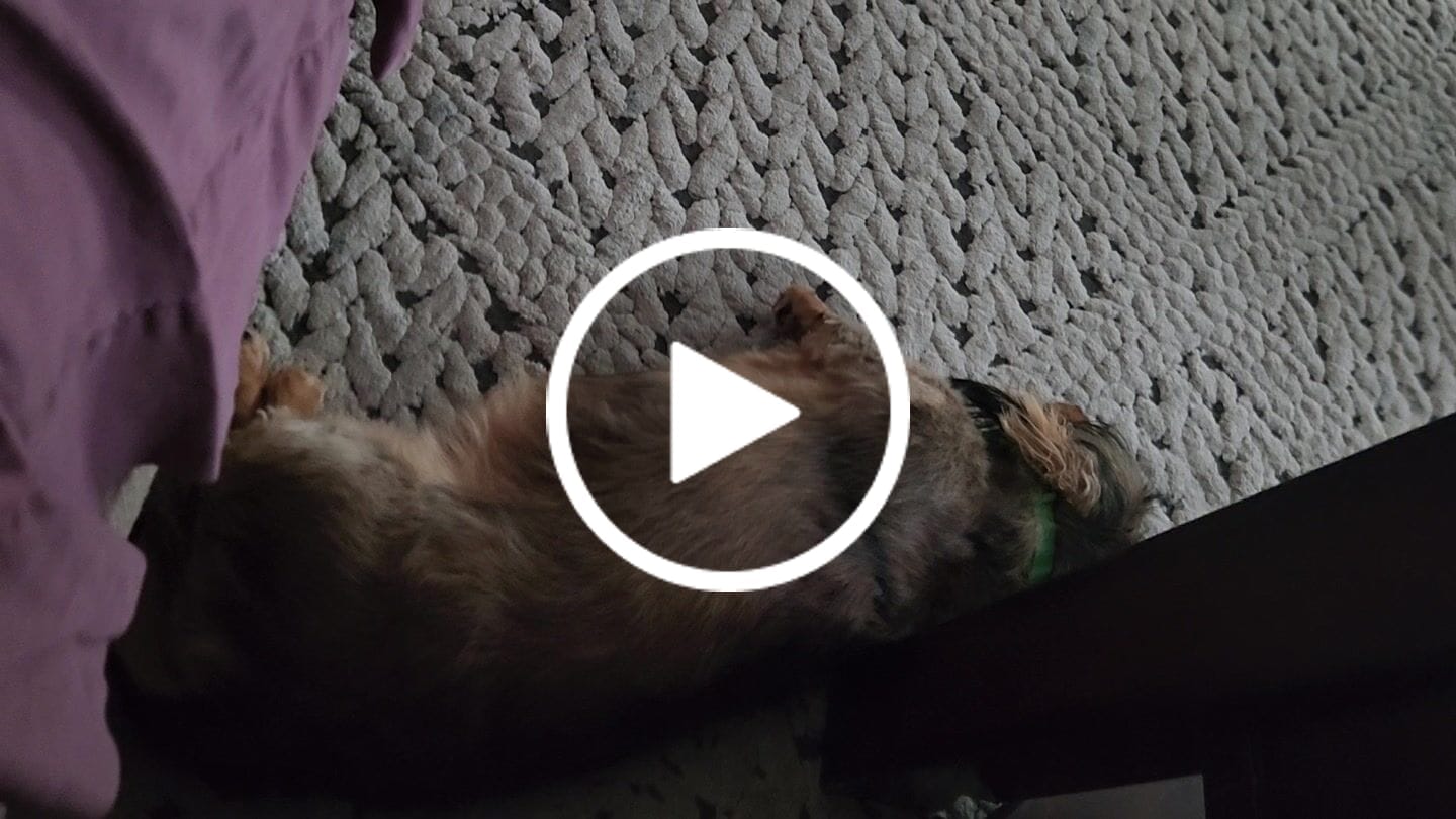 Customer video review of Salmon Oil