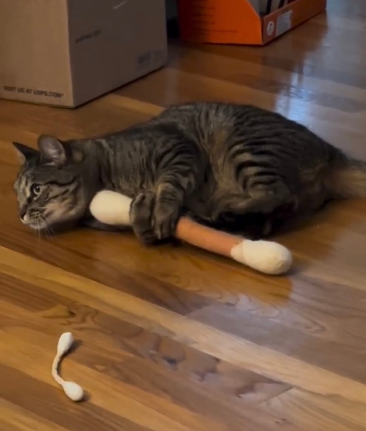 Customer photo review of Jumbo Cotton Bud Cat Toy
