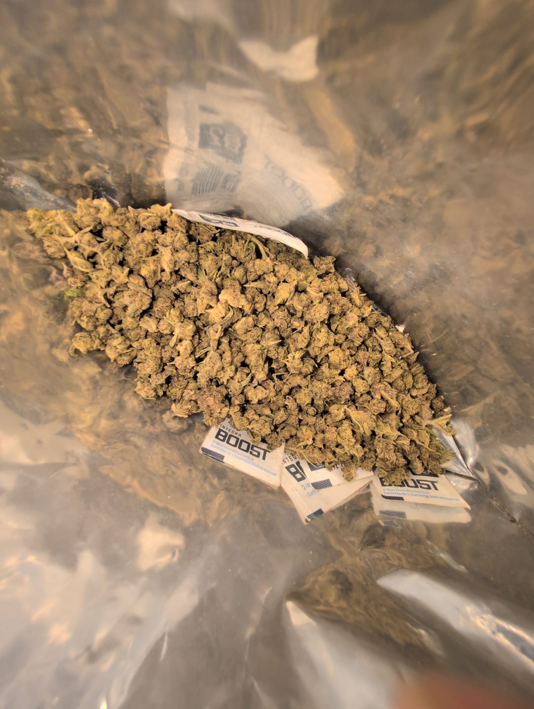 Customer photo review of Cheap THCA Smalls Pound