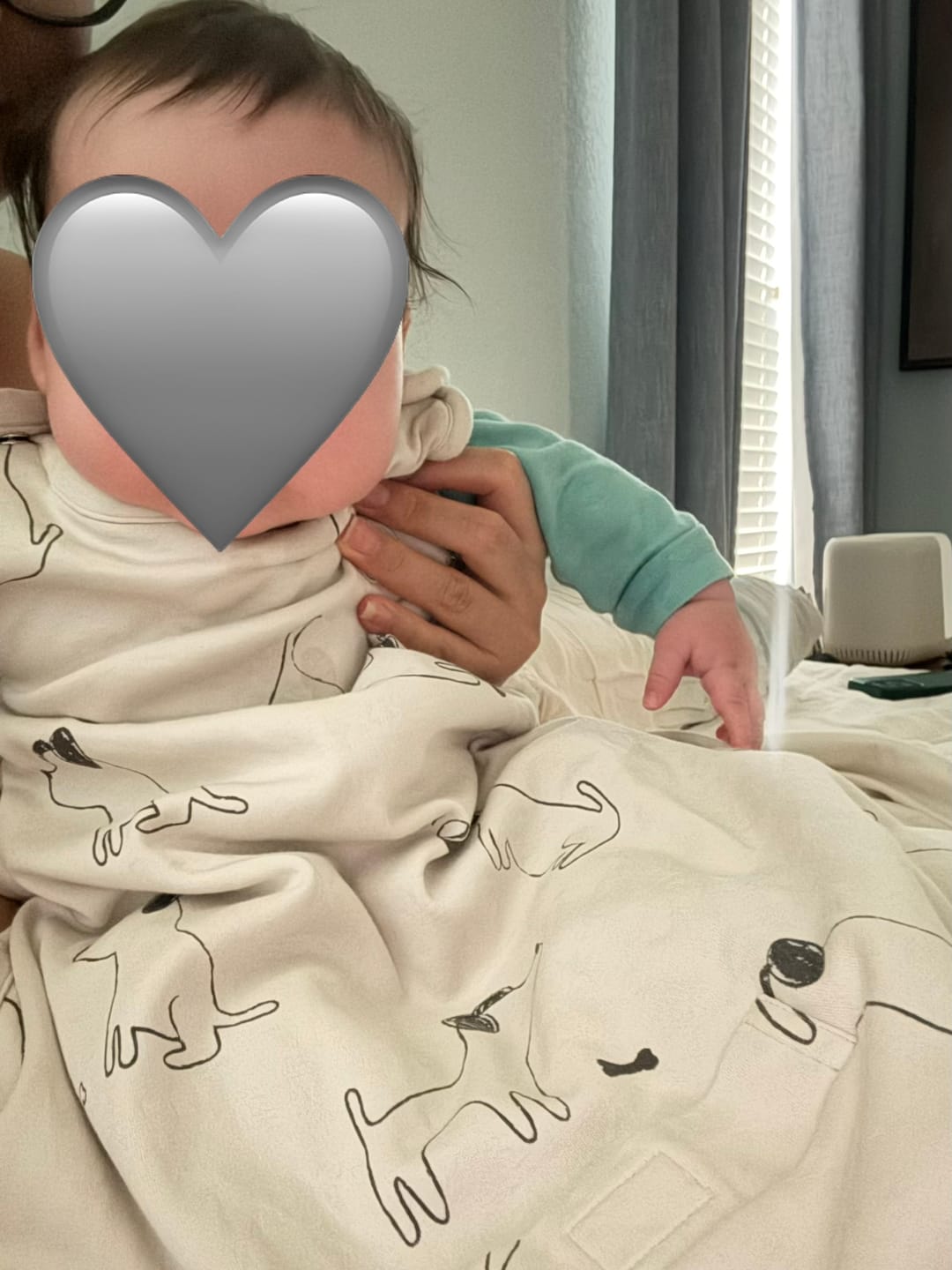 Customer photo review of 4 Season® Ultimate Baby Sleep Bag, Merino Wool & Organic Cotton, Puppy