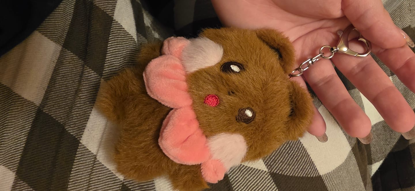 Customer photo review of ILLIT - DEARLIT 2ND ANNIVERSARY OFFICIAL MD PLUSH KEYRING