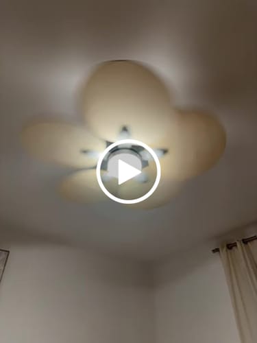 Avis vidéo d'un client sur Lotus | Ventilateur de plafond