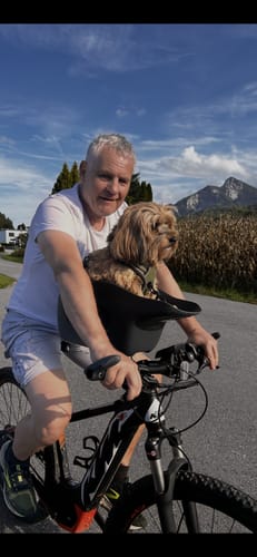 Customer's small dog sitting in a Kvisp Dog Bike Carrier mounted on the front of a bicycle outdoors.