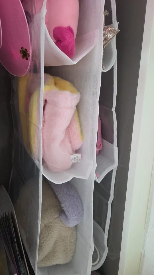 Customer photo review of LayerStore Bag Hanger