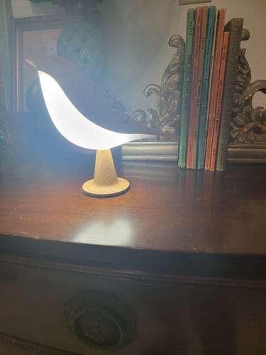 Reviewer's Glow Bird lamp glowing warmly on a table next to a row of books.