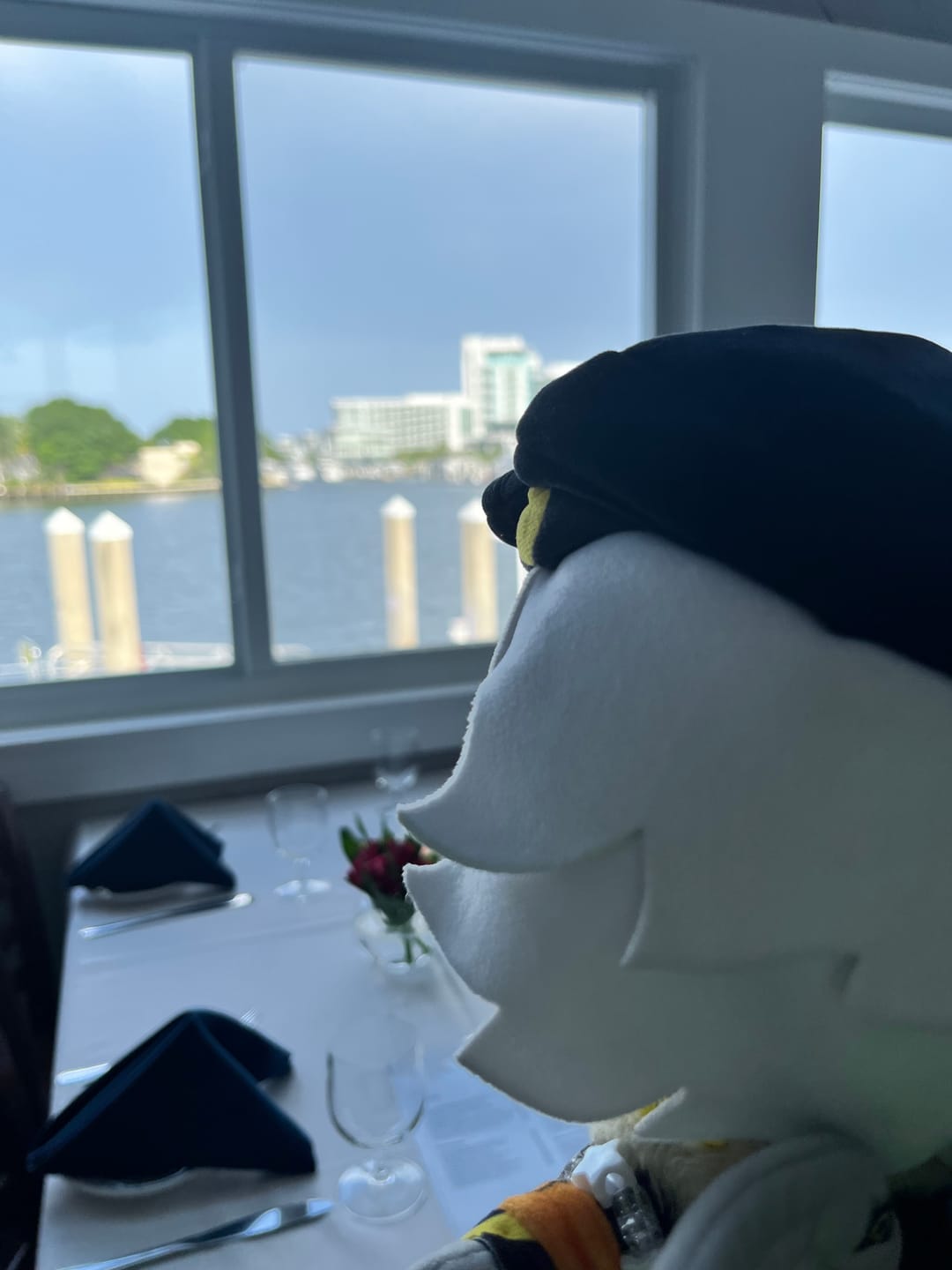 Customer photo review of N Plush