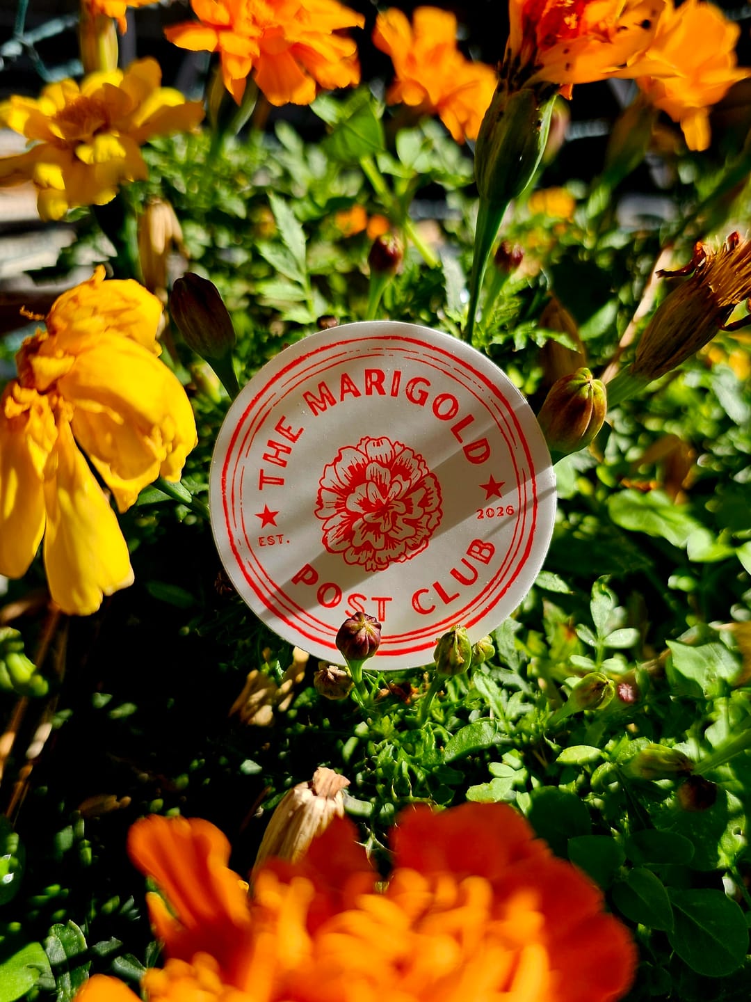 Customer photo review of The Marigold Post