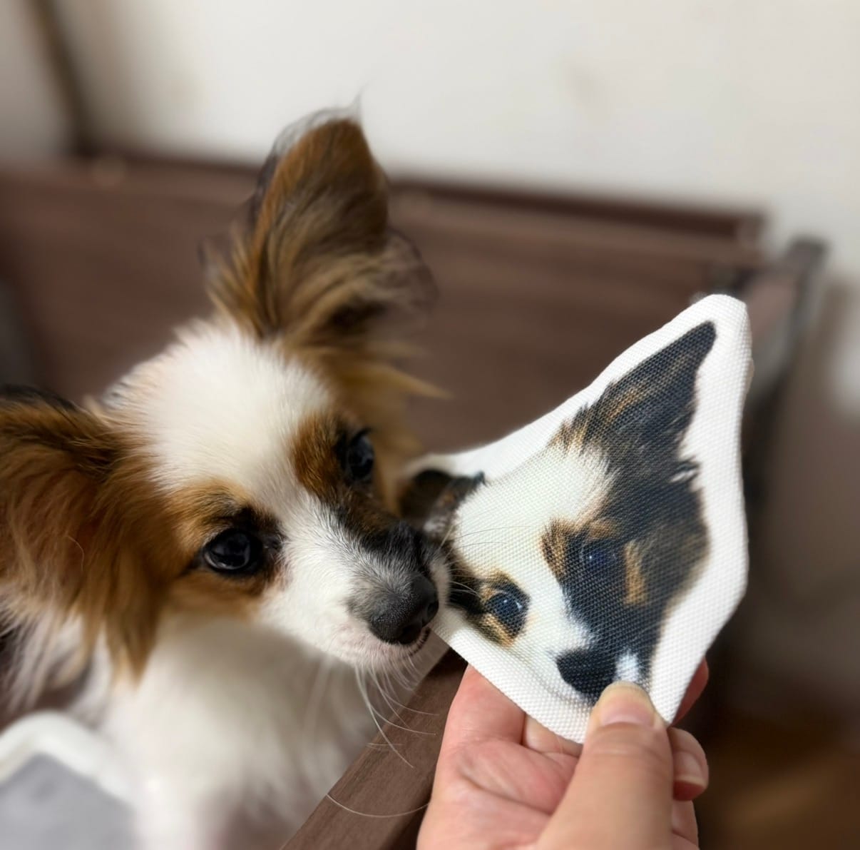 Customer photo review of 本物そっくり♪ペットフェイスバッグ