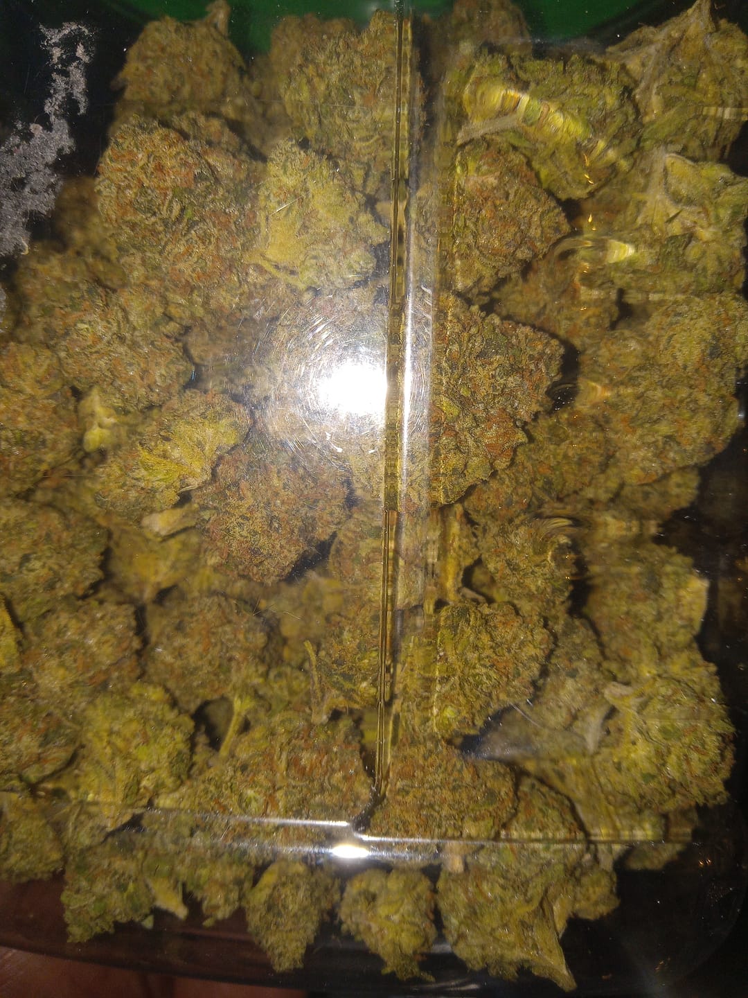 Customer photo review of Purple Push Pop  (Wholesale)
