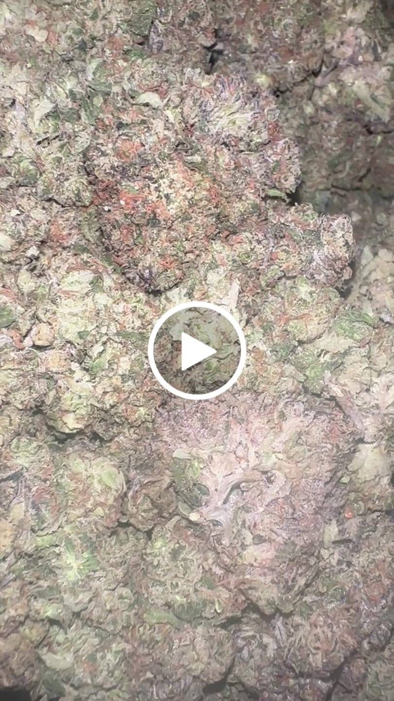 Customer video review of Purple Push Pop  (Wholesale)