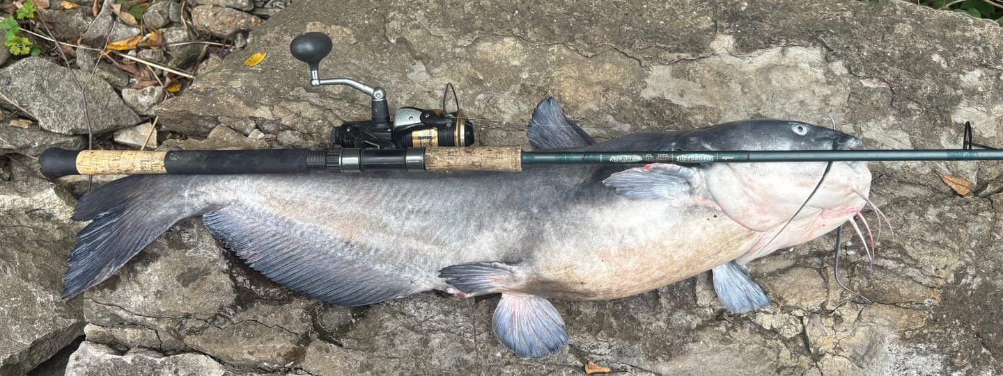 Customer photo review of PF Ledge Hammer (2 Pack)