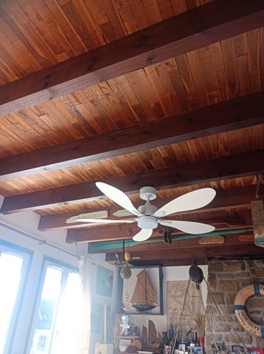 Customer's Libellule ventilateur de plafond blanc à cinq pales installé au plafond en bois d'une pièce rustique.