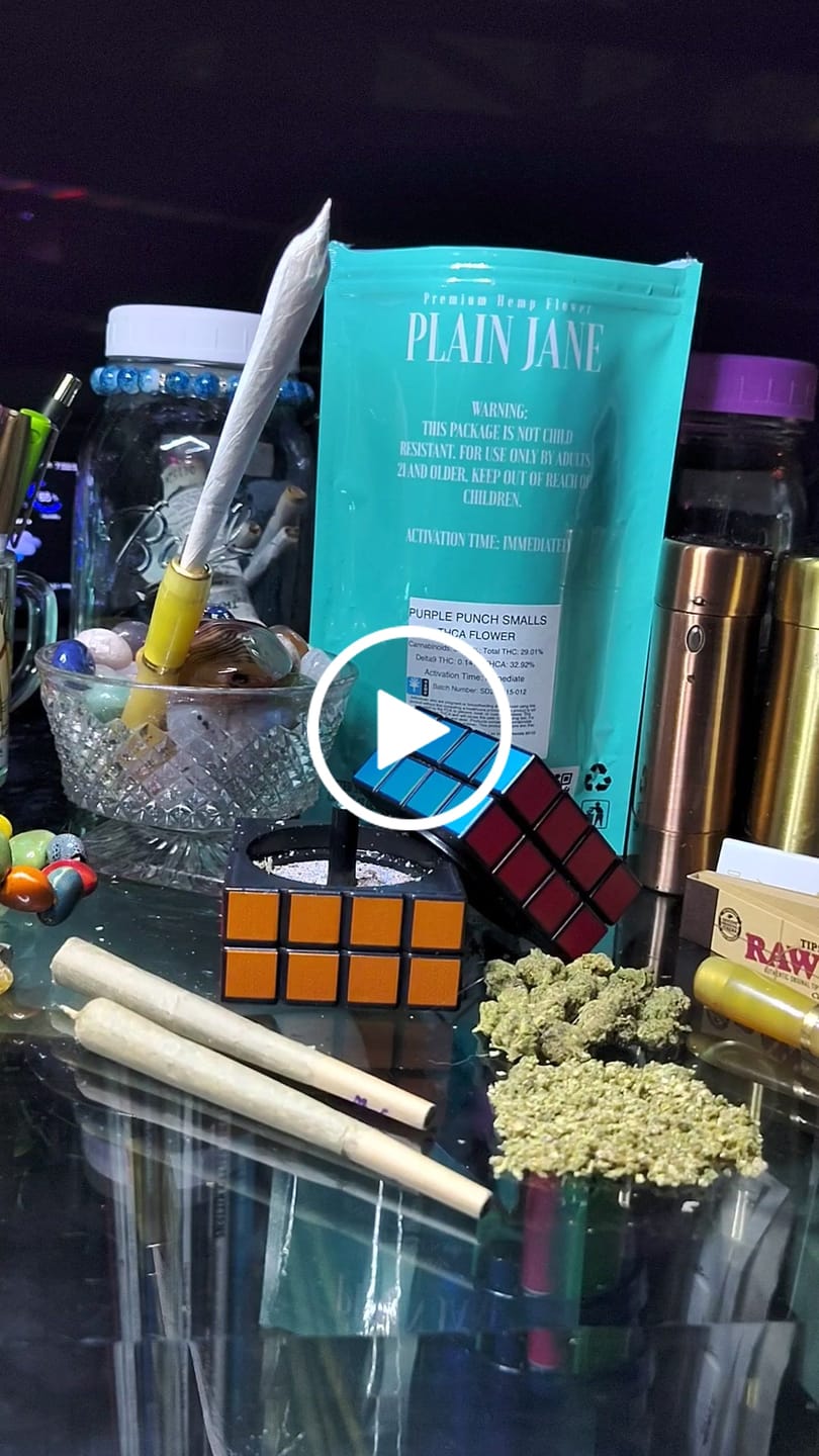 Customer video review of Purple Punch (Indoor Smalls) - THCA Flower