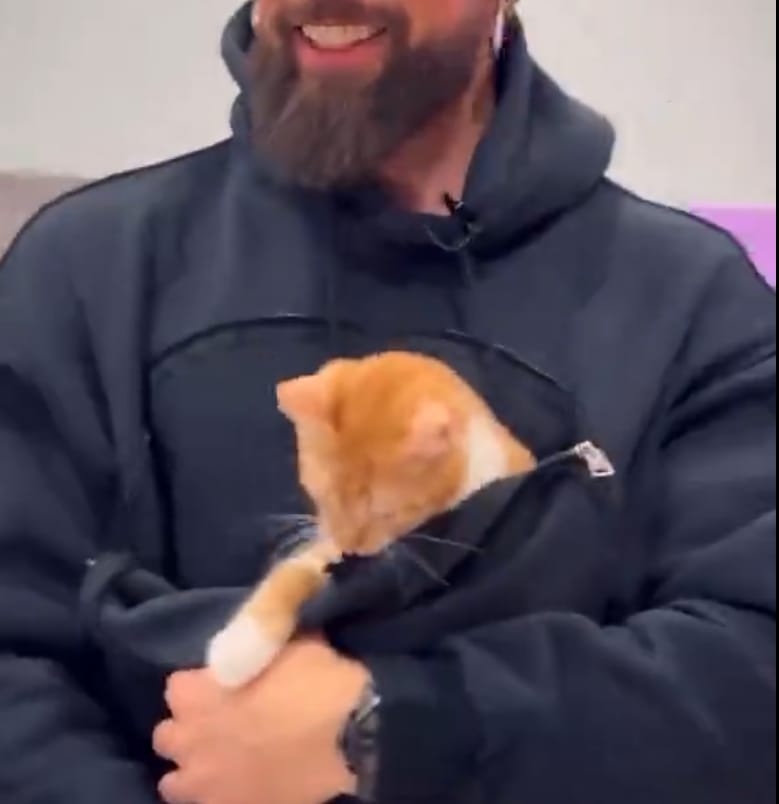 Customer photo review of Pet Peekaboo Pocket Hoodie