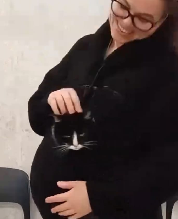 Customer photo review of Pet Peekaboo Pocket Hoodie