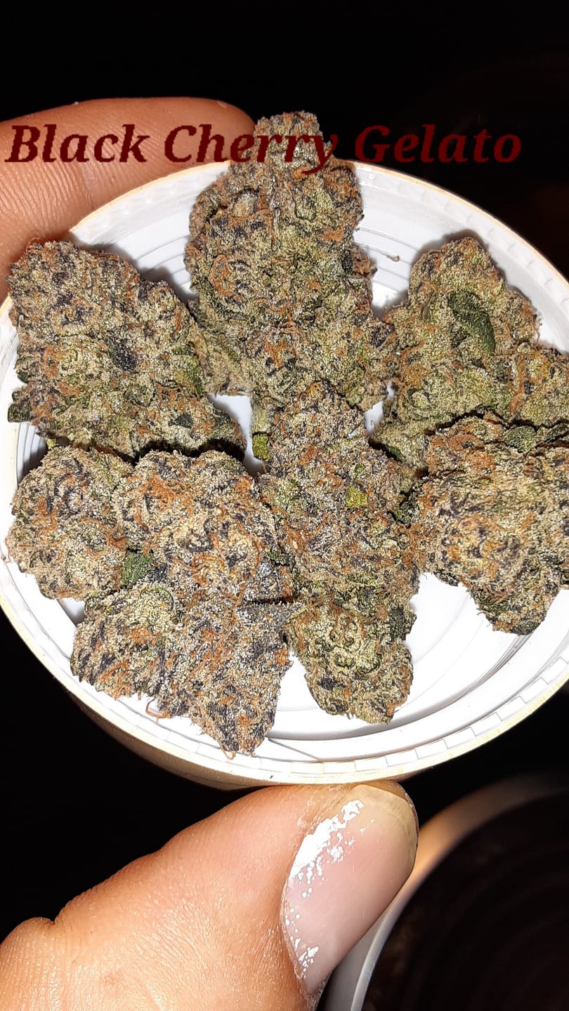 Customer photo review of Black Cherry Gelato 17 Grams