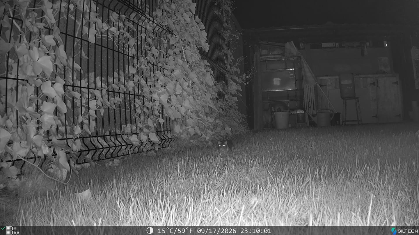 Customer photo review of Siltcon® Wildcamera met Zonnepaneel 8K