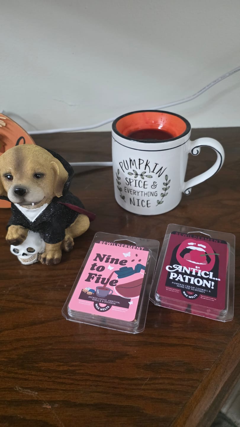 Customer photo review of Nine to Five Wax Melts