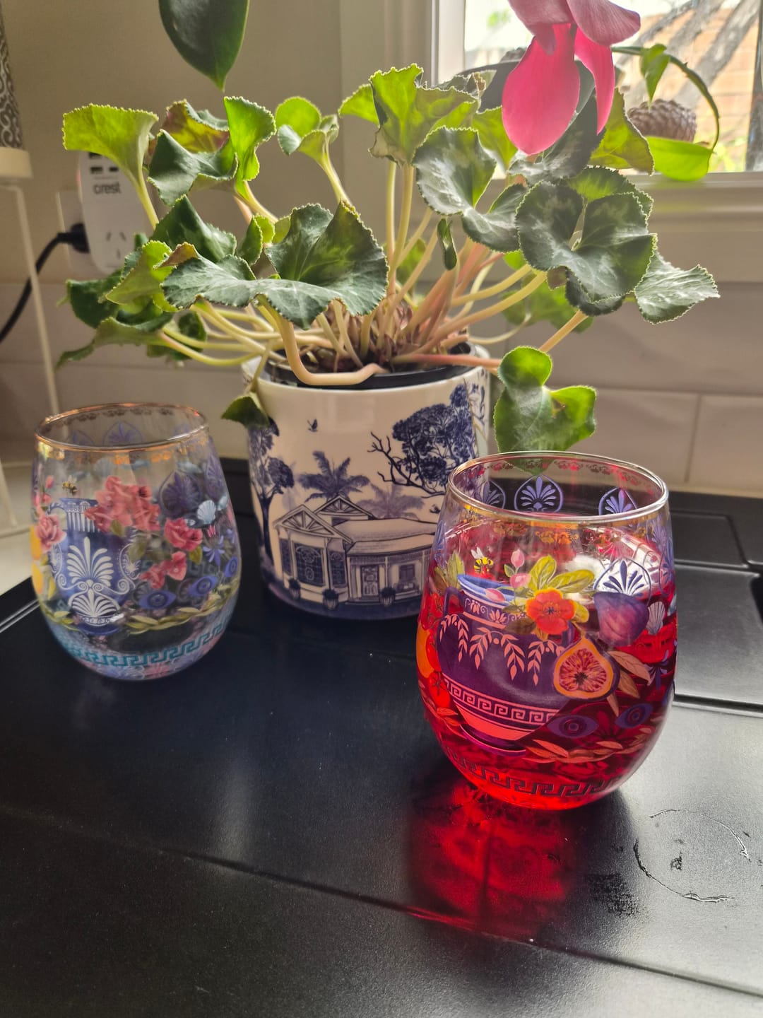 Customer photo review of Glass Tumbler Large Set Royal Botanic Gardens Victoria (Set of 2)