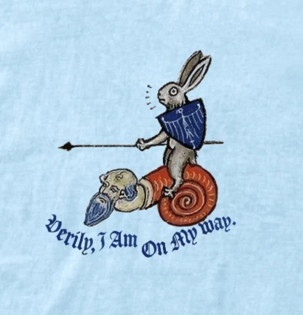 Customer photo review of Marginalia Rabbit On My Way Premium Tee