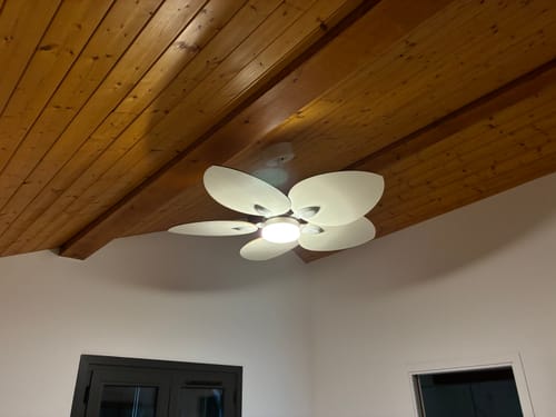 Customer's Dahlia ceiling fan with light installed on a wooden paneled ceiling.