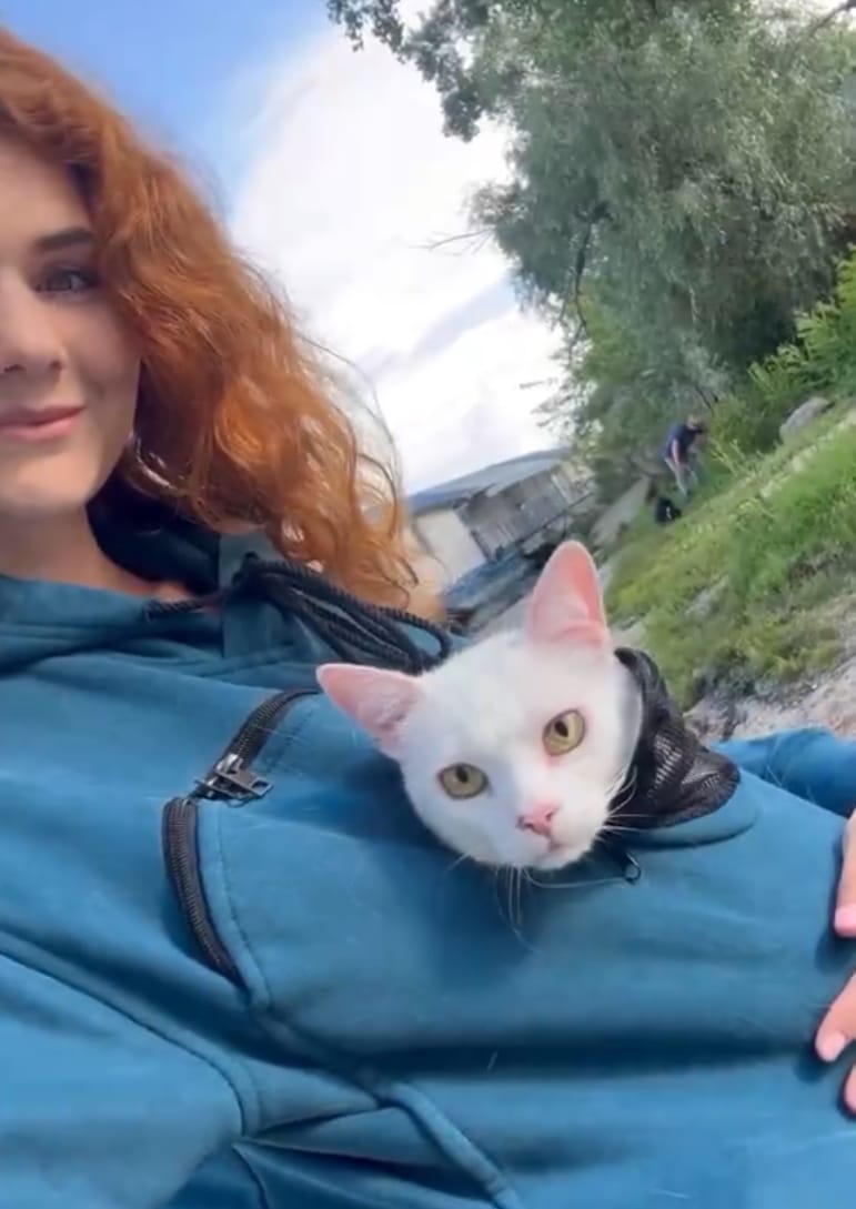 Customer photo review of Pet Peekaboo Pocket Hoodie