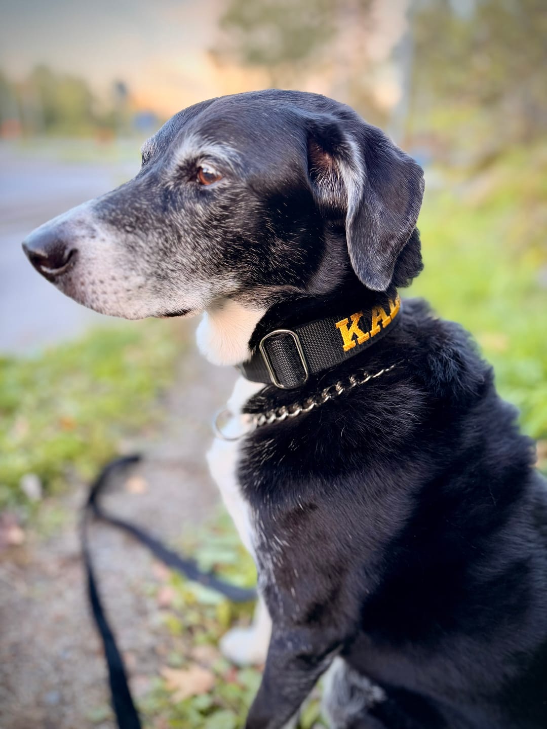 Customer photo review of Extreme Buckle med namn