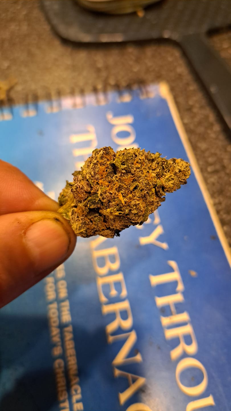 Customer photo review of Acapulco Punch THCA Flower