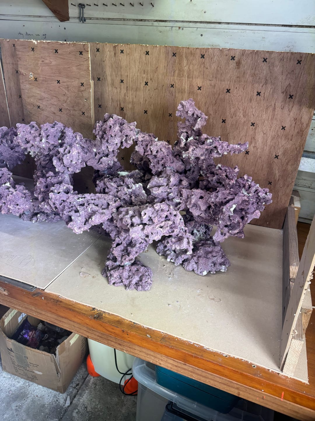 Customer photo review of Marco Rocks Coralline