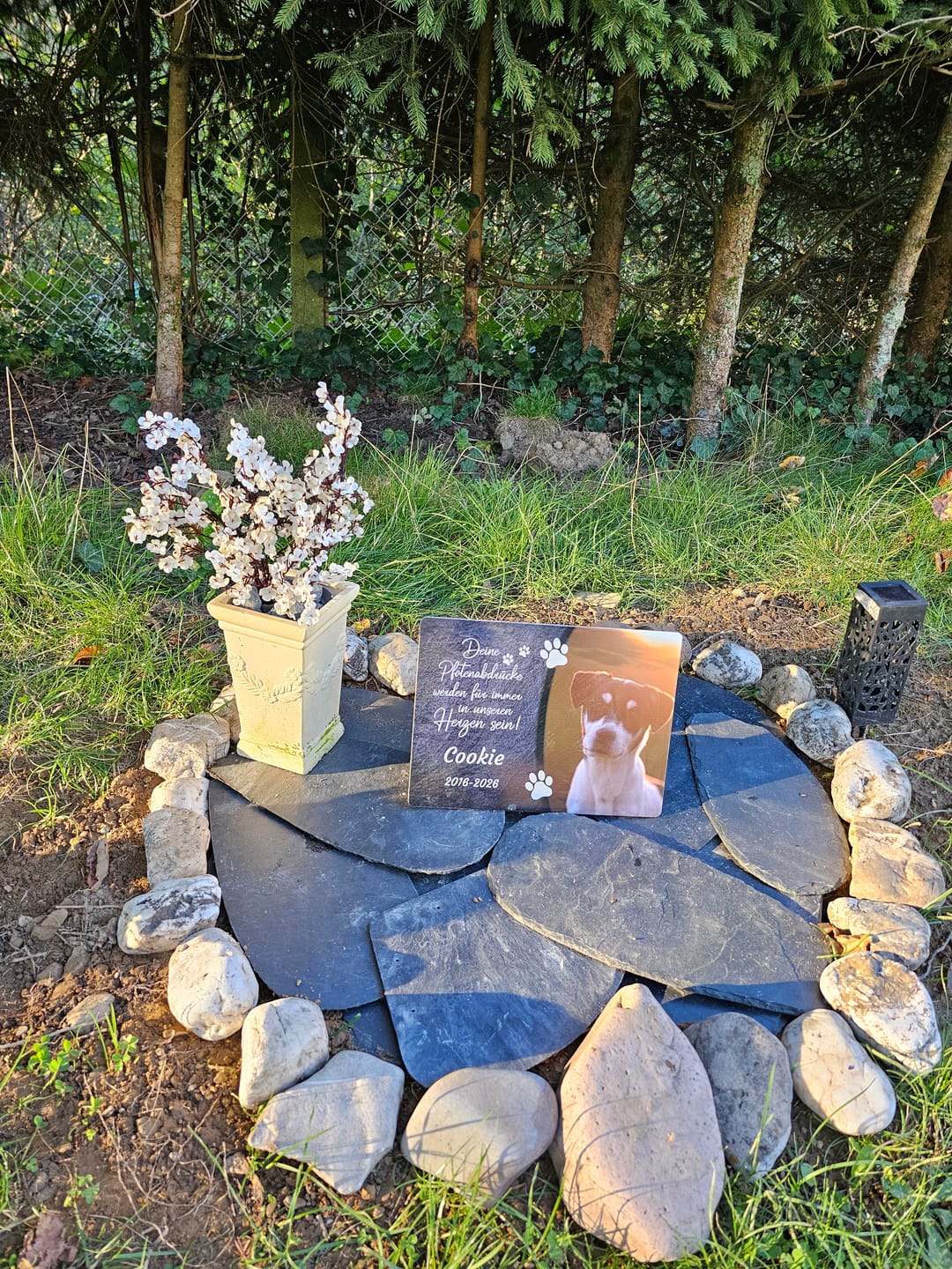 Customer photo review of Hunde Gedenktafel mit Foto & Spruch (UV- & Wetterfest)
