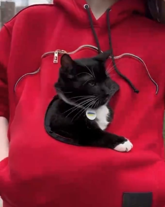 Customer photo review of Pet Peekaboo Pocket Hoodie