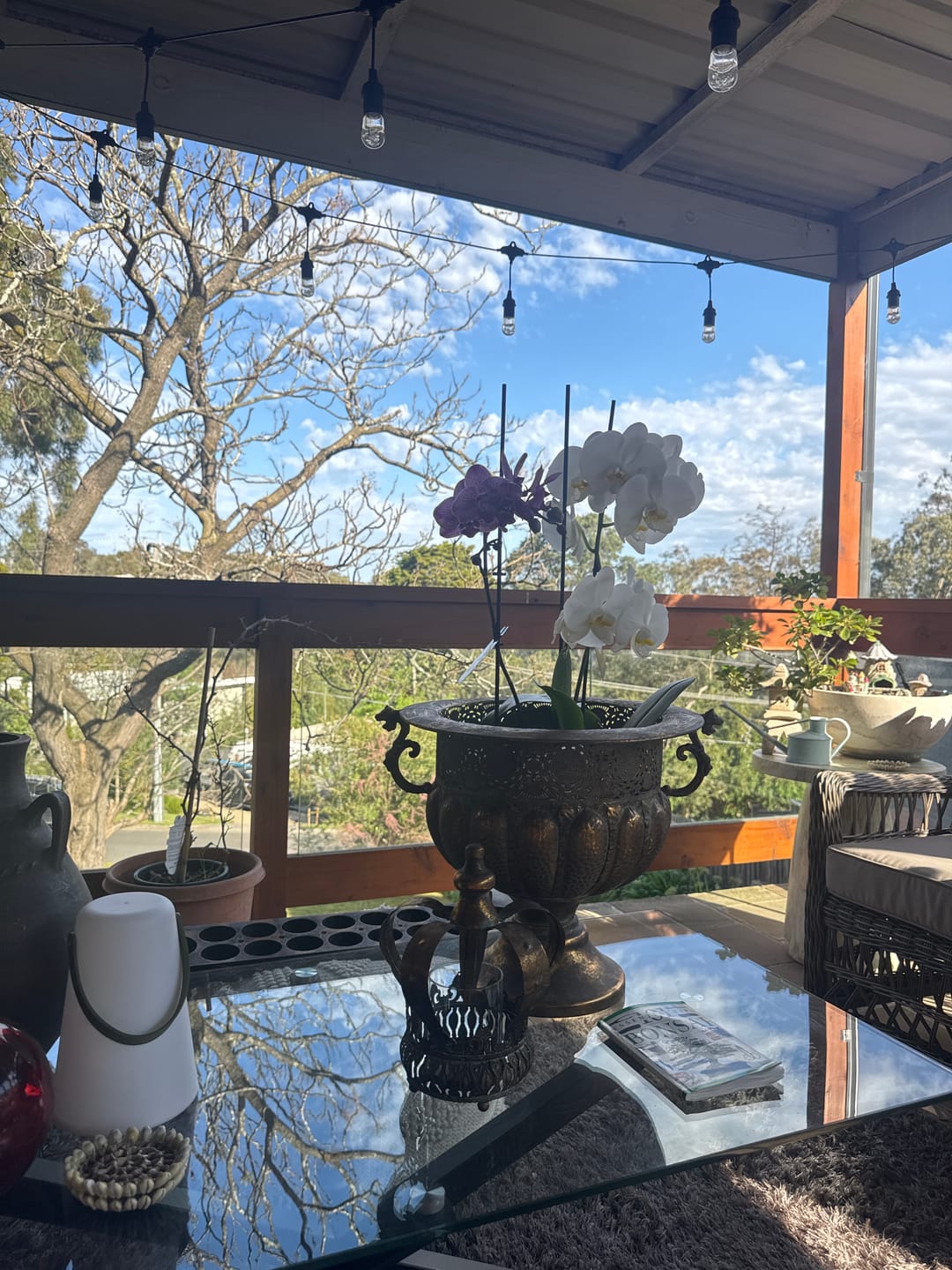 Customer photo review of Regis French Provincial Footed Urn Planter, Embossed Aged Metal