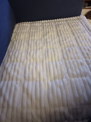 Customer photo review of Cosy Couch - Couch Cover