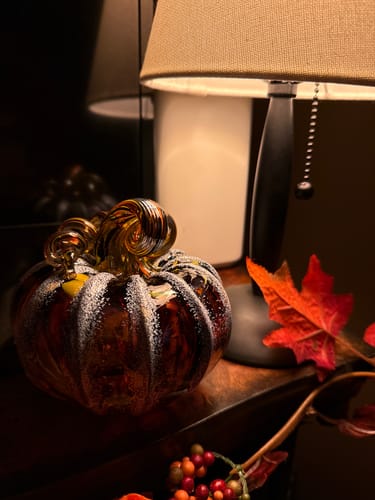 Customer photo review of Apple Cider Doughnut Squat Pumpkin