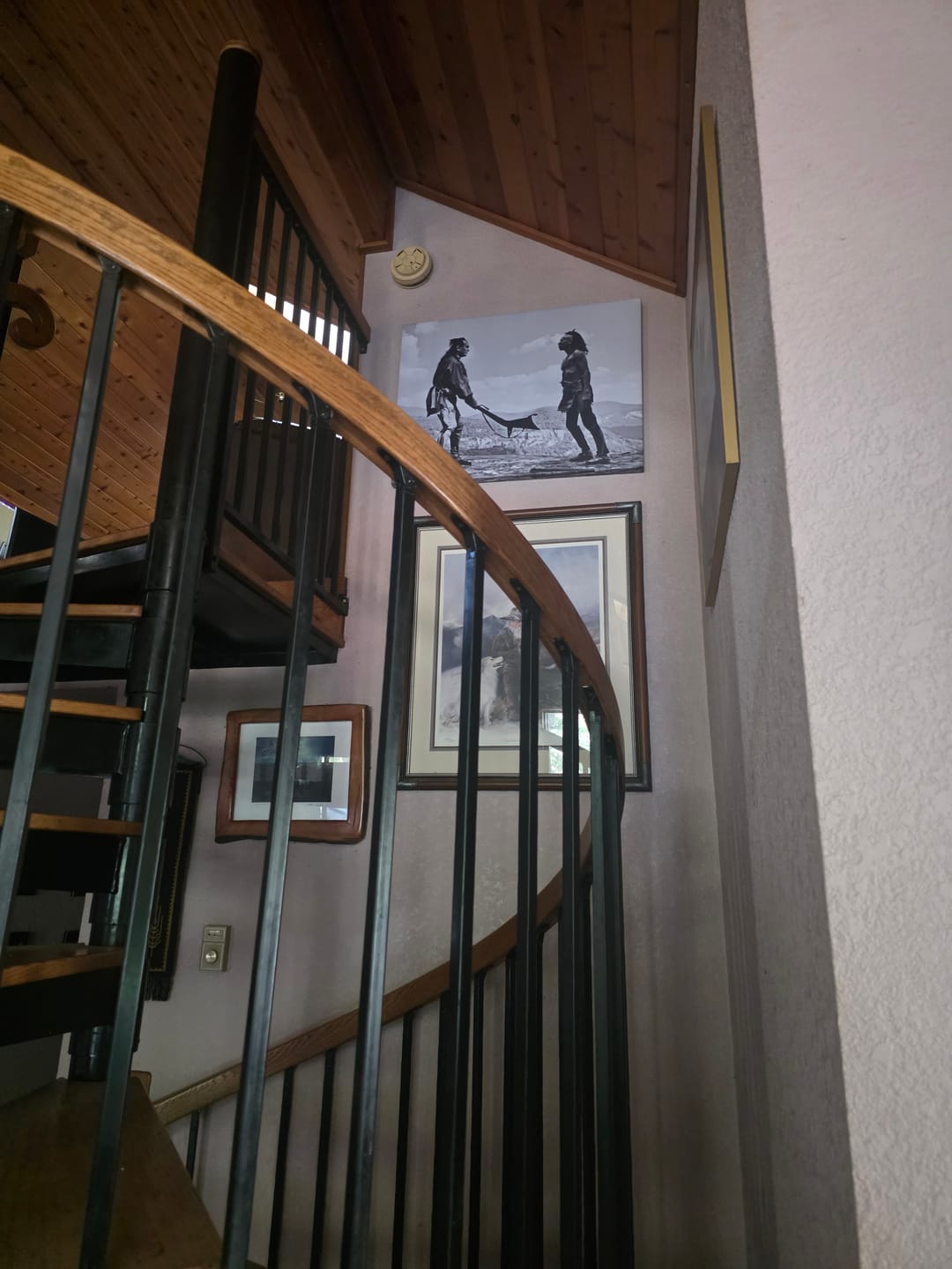 Customer photo review of Last of the Mohicans Wall Art