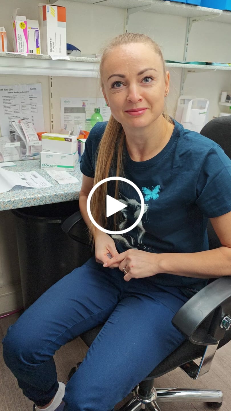 Customer video review of Holzbrüder® Originals - Fuchs und Schmetterling Bio Damen Shirt