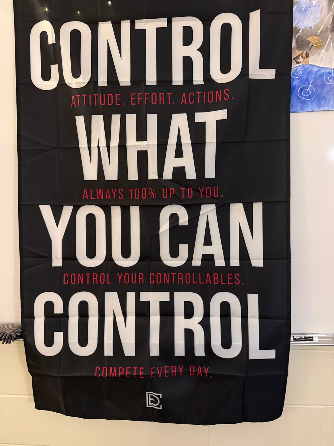 Customer photo review of Control the Controllables (Flag)